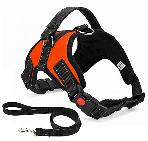 Musonic Harnais pour Chien sans Traction, Confort Réglable et Respirable, Laisse Incluse, pour Petit Moyen et Grand Chiens, Idéal pour l'Entra?Nement et la Marche (L, Orange)
