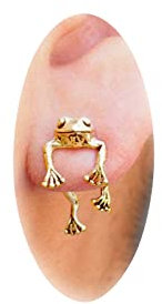 Frog Gifts Frog Earrings for Women Trendy 3D Sliver Frog Earrings for Women Cool Stuff Animal Post Studs Earrings Unique Trendy Stuff Frog Jewelry Gifts Stuff for Women Gifts for Teacher