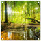 MuchoWow Poster Exterieur Forêt - Paysage - Eau - Arbres - Soleil - Vert - Nature Decoration Murale 50x50 cm Résistant aux intempéries/Soleil