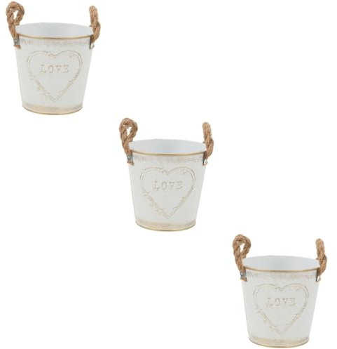 Didiseaon Lot De 3 Pots De Fleurs Rustiques en Fer Seau De Plantation Multifonction Vase Décoratif pour Jardin