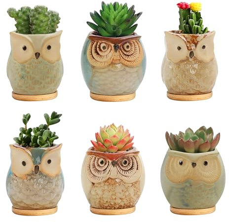 Set 6 Pezzi Vasi In Ceramica Fiori Piante Grasse Gufi Con Sotto Vaso In Bambù Foro Centrale Cactus Decorazione Interno Esterno Casa Vasetto Con Foro Scarico Fioriera Contenitore - 1Gufetti