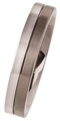 Ernstes Design Ring R91 echt Platin 960 Titan matt Qualität neu