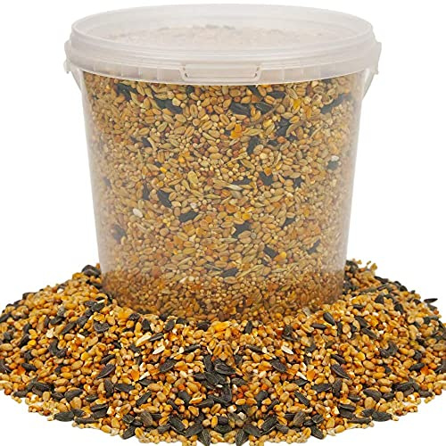 BusyBeaks Four Seasons Wild Bird Seed Mix (1L) - All Year-Round Bird Food with Black Sunflower, Wheat, Small Seeds & Peanuts | High-Energy Feed for Small Garden Birds - 100% Natural Ingredients