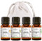 MY COSMETIK - Pack pain d'épices & cocooning - Lot de 4 huiles essentielles BIO à diffuser - Orange Douce - Cannelle de Chine sauvage - Clou de Girofle - Bergamote - 4 x 5 ml + Pochon 100% coton