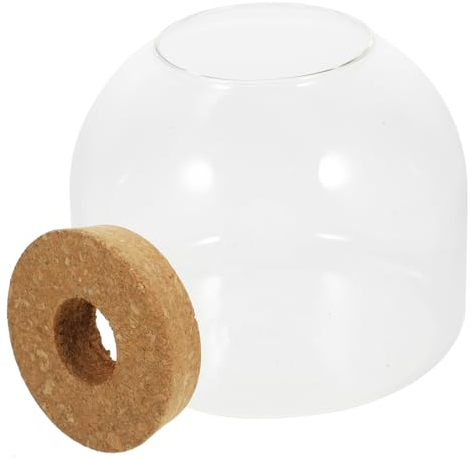 Housoutil Flasche Aus Korkglas Ökologische Glasflasche Fischschalen Aus Kunststoff Große Terrarienschale Hydrokulturvase Nachricht Wünscht Flasche Glasblasenschale Anlage Holz Betta Fisch