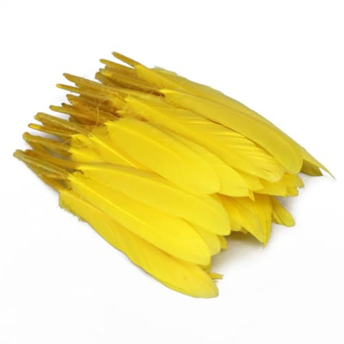 Anevous 200 Stück Federn, Federn zum Basteln Federn Lang Bastelfedern zum Karnival Dekoration, Feder Deko für DIY Basteln, Traumfänger, Hochzeit Deko, Kopfschmucksfedern Ohrring,Gelb