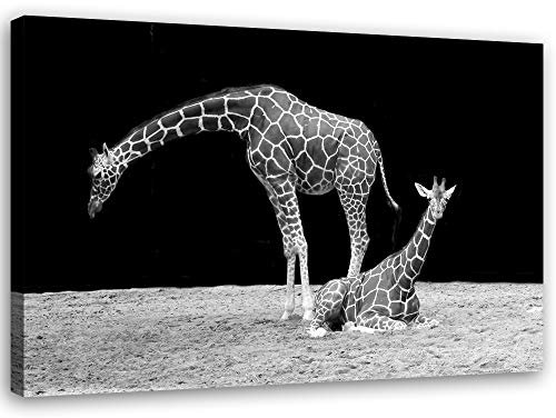 Feeby Wanddeko Giraffen Leinwandbild Kunstdruck Tiere schwarz-weiß 60x40 cm