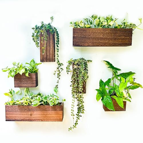 LaLaGreen Wood Planter Box for Plants (6 Pack) Wooden Hanging Wall Planters for Indoor Plant Holder Vase for Dried Flowers, Modern Farmhouse Wall Decor Living Room Bedroom Kitchen Office Home Garden