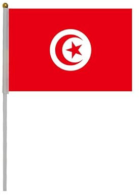 Lot de 20 drapeaux à manivelle Tunisie, mini-drapeau portable Tunisie, drapeau Tunisie, petit drapeau Tunisie, mini-drapeau Tunisie, drapeau Tunisie, petit drapeau Tunisie, fanions Tunisie.