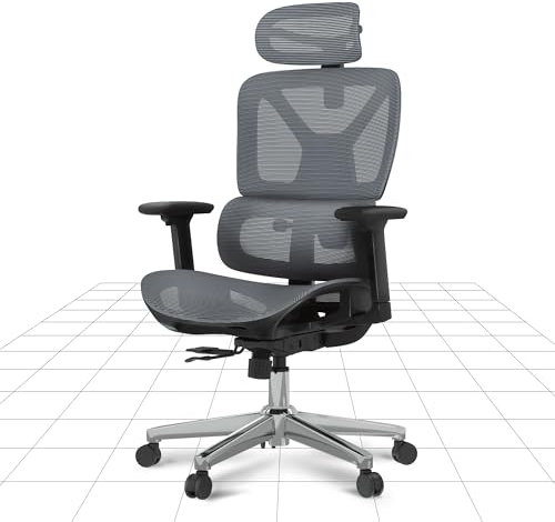 FLEXISPOT Ergonomischer Bürostuhl Schreibtischstuhl, 3D-Armlehnen, 3D-Kopfstütze, 5D-verstellbare Rückenlehne, Atmungsaktiver Sitz Belastbar bis 130 kg Arbeitsstuhl, ErgoX, Dunkelgrau