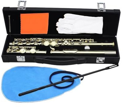 Querflöte Instrument Flöte, 16 Geschlossene Offene Löcher C-Dur Professionelle Querflöte Mit Teilen Holzblasinstrument Anfänger-Lederetui-Set(Gold)