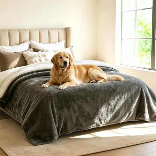 Wasserdichte Hundedecke, 127 x 150 cm Weiche Hundedecke Sofa, Flanell Decke | Hundedecke, Wasserdichte Flüssigkeitsdicht, Beidseitiger Sofabezug-Schutz, Hundekissen für Hunde und Katzen