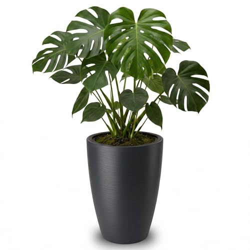 matches21 HOME & HOBBY Großer Blumentopf CALMO schwarz für innen, außen - 39 x 58 cm Pflanztopf rund wetterfest