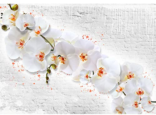 Runa Art Fototapete Blumen Orchidee Steinwand 352 x 250 cm Vlies Tapeten XXL Moderne Wandtapete Wohnzimmer Schlafzimmer Weiss Gelb 9323011a