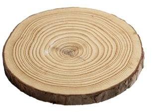 Base de Madera Redonda con Corteza – Discos de Madera Natural – Diámetro 15,5 cm – Ideal como Centro de Mesa, Posavasos, portavasos, portavasos, portapiantes