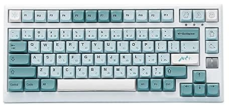 EPOMAKER Iceberg 126 Tasten PBT XDA Profil Keycaps Set für mechanische Gaming-Tastatur, ANSI-Layout, kompatibel mit Cherry Gateron Kailh Otemu MX Struktur (XDA Profile, Iceberg)