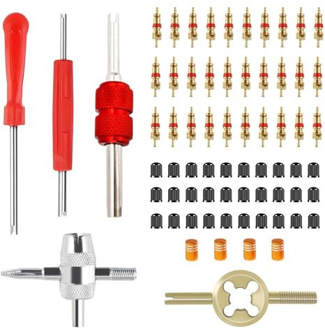Sinofort 69 Piezas Herramientas de Válvulas de Neumáticos,Removedor Núcleos de Válvula,Kit de Reparación Neumáticos con Núcleo Válvula, para Coche Moto Bicicleta