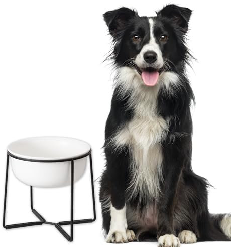 Comedero Perro Elevado Grande Cerámica - Cuenco Perro con Soporte de Metal Antideslizante - Comedero Alto para Perro - Plato Perro Comida y Agua - Bol para Perros Medianos y Grandes - 1600 ml - Blanca