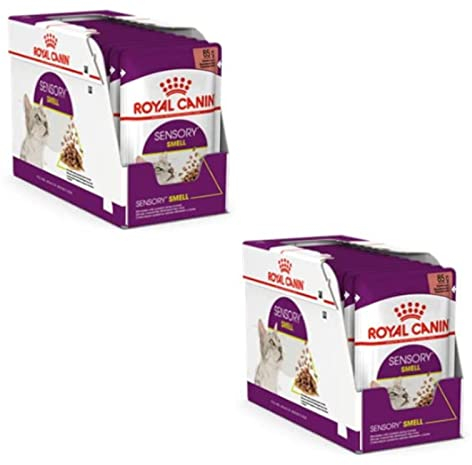 Royal Canin Sensory Smell Jelly | Doppelpack | 2 x 12 x 85 g | Nassfutter für ausgewachsene Katzen | Stückchen in Gelee | Zur Anregung des Geruchssinns | Instinktiv bevorzugt