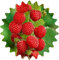 Himbeere Rot/ca. 50 Samen/Rubus idaeus/frosthart/mehrjährig