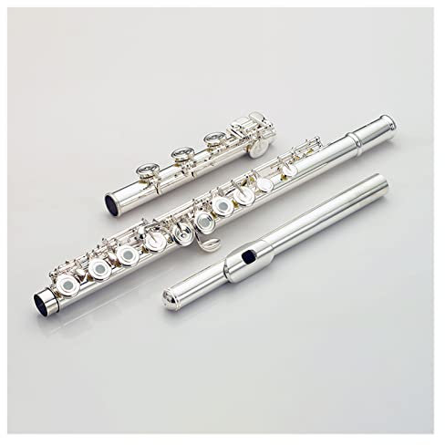 Flöteninstrument Flöte Musikinstrument Anfänger Profi Sterling Silber Körper 17 Loch E Schlüsselflöte Professionelles Querflöten