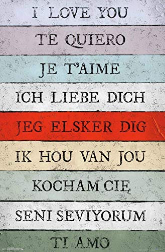 Love Language I Love You Metal Tin Sign Iron Painting Home Family Lovers Gift Funny Metal Signs Cafe Store Bedroom Bathroom Novelty Retro Parlor Courtyard Wall Decor 6x8 Inch