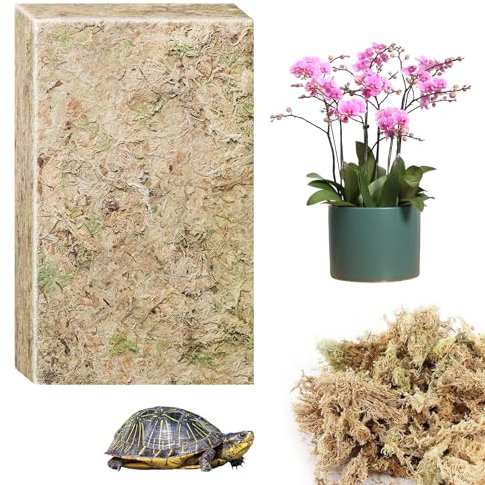 CONNECTION 190g Natural Sphagnum Moss Dried Forest Moss for Potted Plants Dried Moss Peat Moss Live Moss Sphagnum Moss Reptile for Terrarium Decor Plants Crafts Orchid Soil Medium Home Garden
