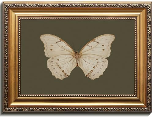 Uniro Wandkunst, Vintage-Stil, goldgerahmt, klassische Schmetterlings-Ölgemälde, dunkle stimmungsvolle Insekten, Leinwanddrucke mit antikem Rahmen, salbeigrün, Wanddekoration, Bilder für Schlafzimmer
