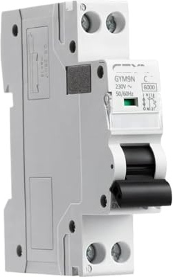 GYM9N 1P+N DPN 6A 10A 16A 20A 25A 32A 40A 220V AC disjoncteur courbe B C(C Curve,10A)