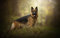 LHJOY shaped jigsaw puzzles for adults 1000 pieces Dog gin dog
