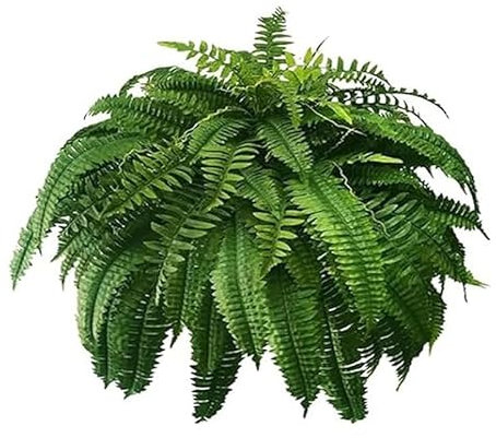 Sujurio Helecho Boston Artificial Realista Resistente A los Rayos UV, Helechos Artificiales para Exteriores, Helechos Falsos, Plantas Artificiales