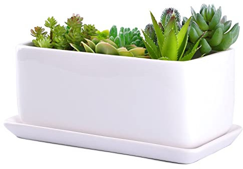 VanEnjoy 10 Inch White Rectangle Ceramic Succulent Planter Pot Decorative Cactus Plant Pot Flower Container with Ceramic Tray