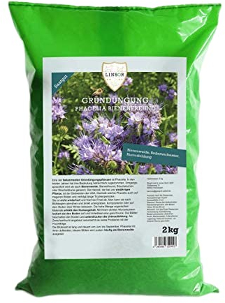 Linsor Phacelia Graines d'engrais vert pour abeilles, formation d'humus, prairie florale, 2 kg pour 400 m²