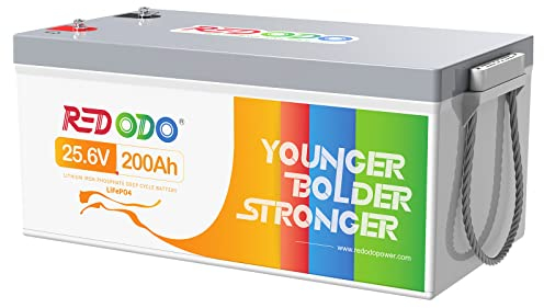 Redodo 24V 200Ah LiFePO4 Batterie Gruppe 8D, 200A BMS, Tiefzyklus Lithium Batterie mit 5120Wh Max. Energie & 5120W Max. Leistung, Stromspeiccher Perfekt für Inselanlage, Notstromversorgung, Wohnmobil