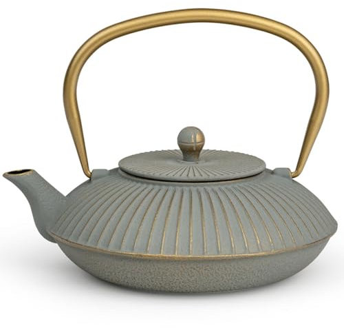 Bredemeijer graue flache Asia Teekanne Induktion 1.1 Liter - kleine emaillierte Gusseisenkanne mit Edelstahl Teefilter-Sieb-Einsatz