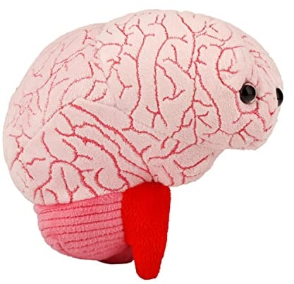 Giant Microbes Gehirn Orgel Plüschtier Original Weichen Körper Pädagogisches Geschenk 16 cm