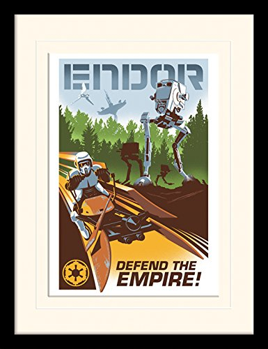 Star Wars 'Endor' Memorabilia,30 x 40 cm