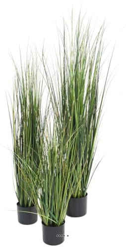 Artificielles.com - Graminée en pot artificielle Herbe à oignon bambou H 120 cm Vert - dimhaut: H 120 cm - couleur: Vert