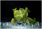 Wallario Vliestapete Fototapete Mojito - Cocktail mit Limetten, EIS und Minze - Wandtapete Größe: 200 x 140 cm