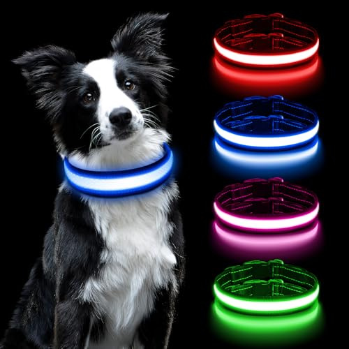 AUAUY Leuchthalsband Hunde, Einzel-Lichtleiste, 3 Beleuchtungsmodi, Blau-M | Einstellbar Sicherheit Hundehalsband, USB Aufladbar, Wasserdichtes, LED Leuchthalsband, für Kleine Mittlere Große Hunde