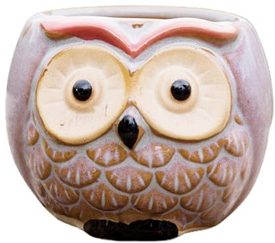 Eulen-Blumentopf, Eulen-Blumentopf, klare Textur, Belüftung, schönes Aussehen, Keramik-Abflusslöcher, Pflanze, große Augen, Blumentopf, Eule, Blumentopf