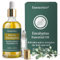 Essencetics Ätherisches Eukalyptusöl – 118ml Glasflasche mit Tropfer & Roll-On – Bio Eucalyptus Öl für Diffuser, Hautpflege & Sauna 100% BIO