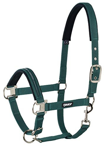 ESKADRON Standard Halfter PIN BUCKLE