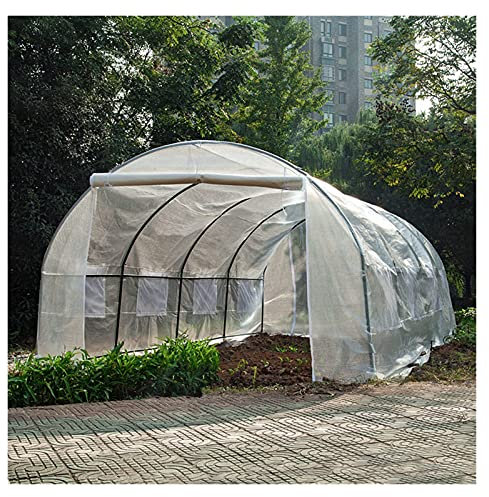 Tomatenhaus Foliengewächshäuser Groß Gewächshäuser für den Garten, Draussen Tomatenpflanzentunnel Gewächshaus Growhouse mit Heavy Duty Stahlrahmen und Abdeckung, 2m / 3m / 4m / 5m / 6m lang