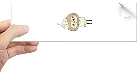 Beauty Gift Pflanze Gemüse Knoblauch WeiÃŸ HeiÃŸer Geruch Essen UU Rechteck-Autoaufkleber Notebook Window Decal