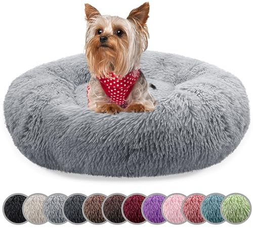 bluzelle Hundebett für kleine Hunde & Katzen, Hellgrau, XXS-50 cm