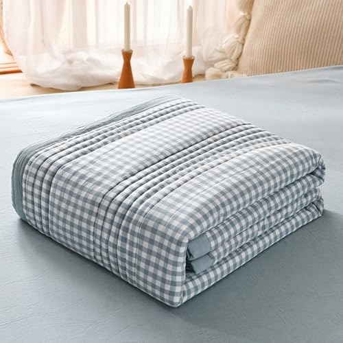 XHCTNN Sommer Steppdecke, Queen Size GrößE Leicht und Atmungsaktiv Schlicht Modern füR Klimaanlage Decke BettwäSche Dekor - Waschbar, Bedruckt Gesteppt füR King Size Bett(C,200 * 230cm/79 * 91)