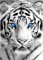 DOMROM Weißer Tiger Diamond Painting, Tier Diamond Painting Erwachsene Kinder Diamond Painting Set, Diamant Malerei Kit Diamond Art Erwachsene für Home Wand Dekor 30x40cm