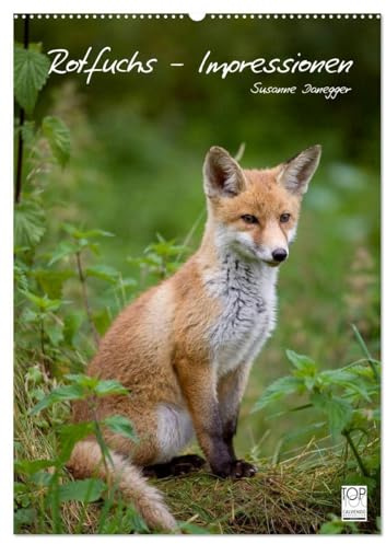 Rotfuchs - Impressionen (Wandkalender 2026 DIN A2 hoch), CALVENDO Monatskalender: Bilder aus dem Leben der Füchse. (CALVENDO Tiere)
