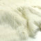 TOLKO 50cm Langhaar Kunstfell | kuscheliges Teddy Fellimitat 5cm Florhöhe | Plüschstoff für Decke Jacke Kissen Webpelz Fellstoff Kunstfellstoff Kunstpelz Stoffe zum Nähen Basteln (Creme)